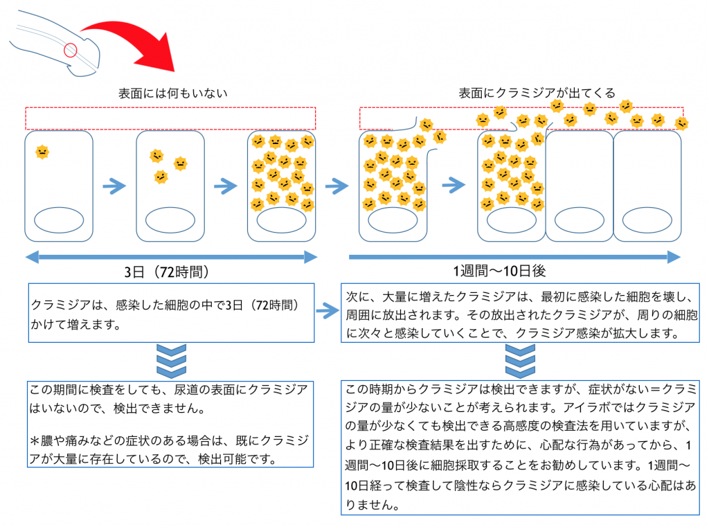検査するタイミングはかんせんごから1週間以上たってからが確実です
