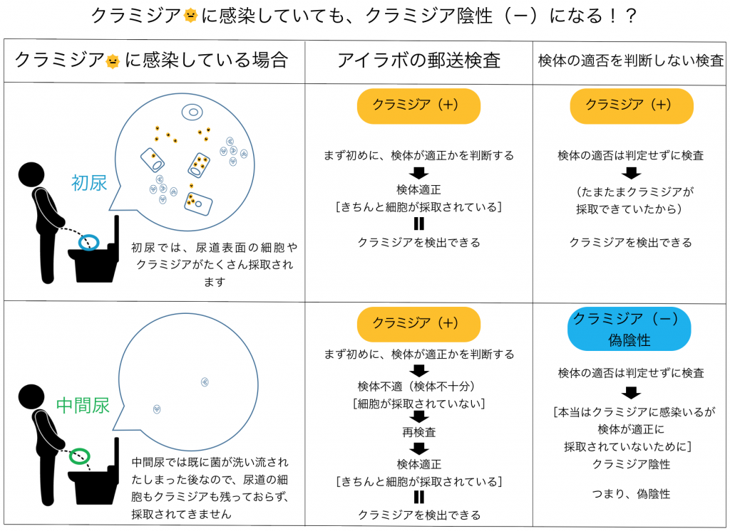 クラミジアに感染してても、結果が陰性になる理由