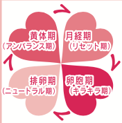 アイラボ　検査士ダイアリー　性周期　生理