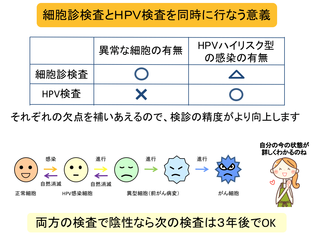細胞診とHPV併用検査が有効的な理由