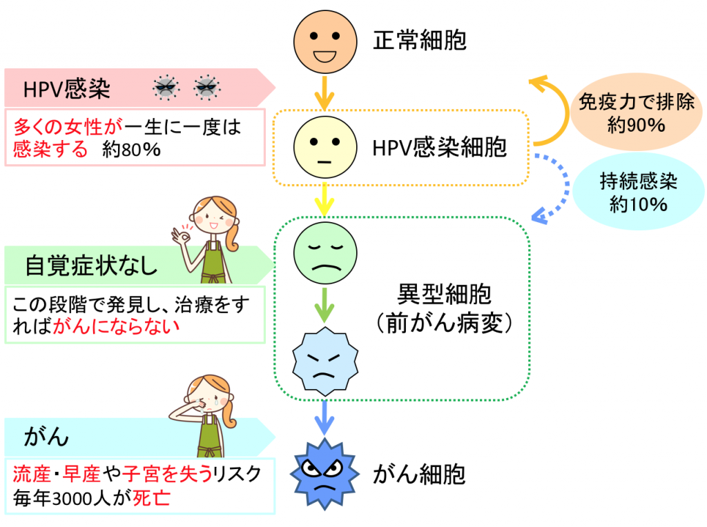 子宮頸がんの検査のタイミング