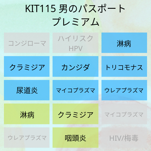 男のパスポートプレミアム