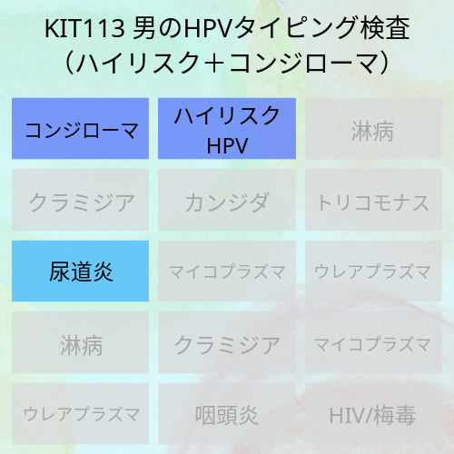 男のHPVタイピング検査（ハイリスク＋コンジローマ）