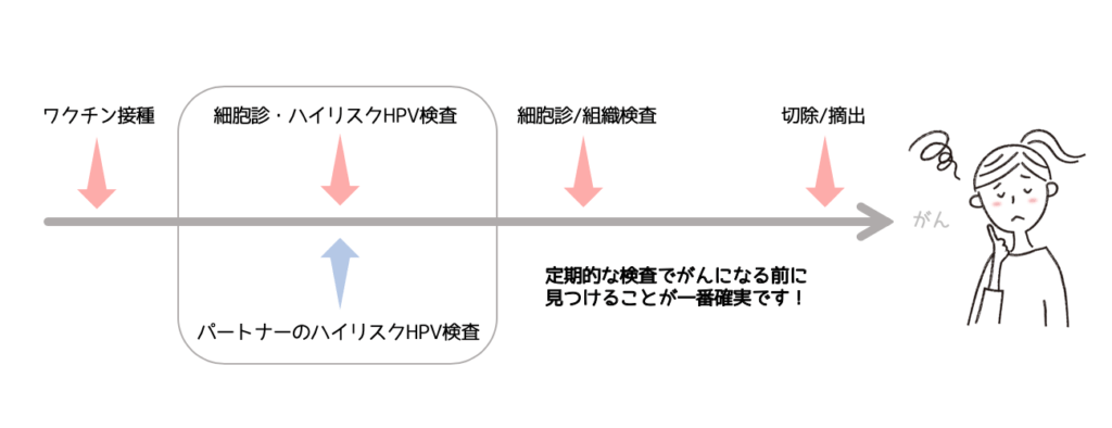 子宮頸がんへの道のり