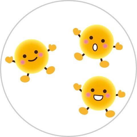 子宮頸がんとは