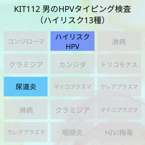 男のHPVタイピング検査（ハイリスク13種）