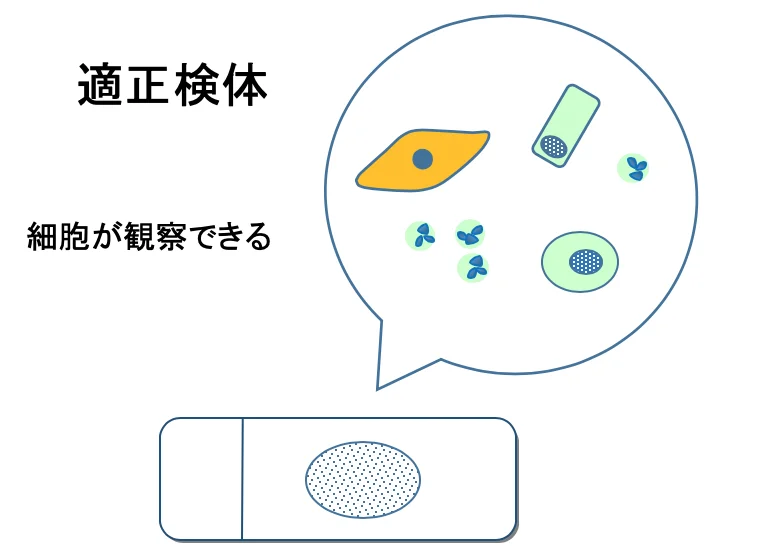 適正検体