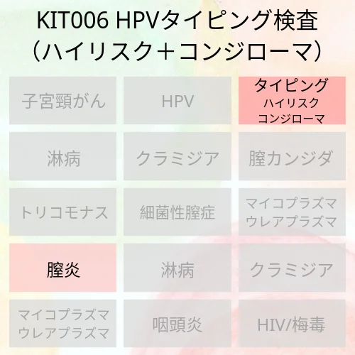 女性用HPVタイピング検査